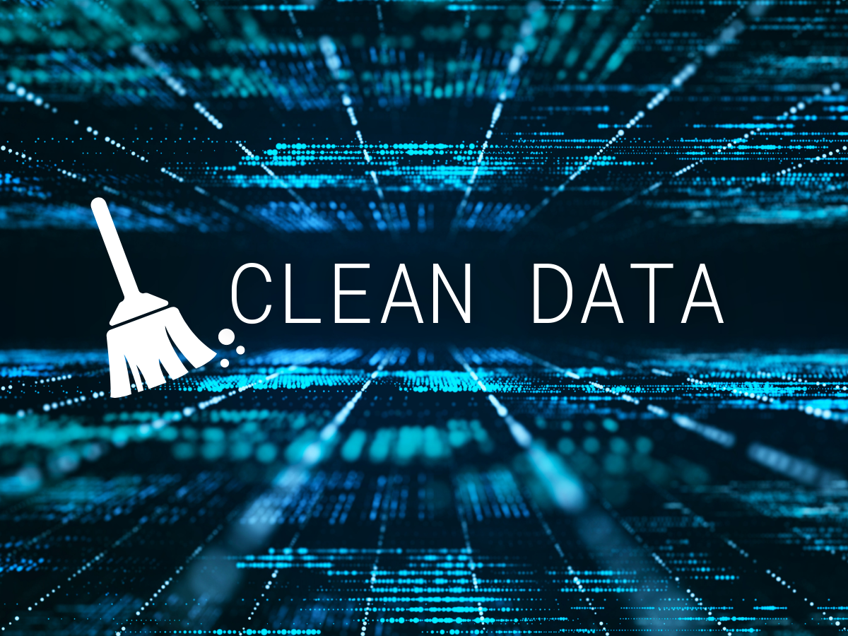 IDRS Data Cleansing Services